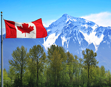 青岛澳星客户免面试通过加拿大魁省投资移民！