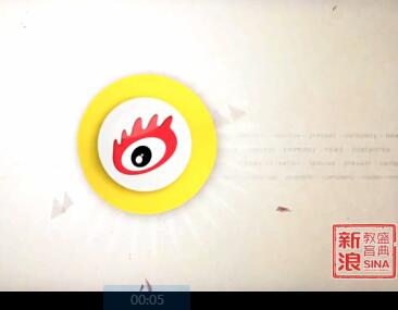 澳星副总裁孙一宁2014新浪教育盛典高端访谈